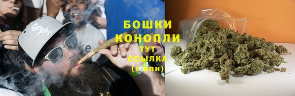 трава Алзамай