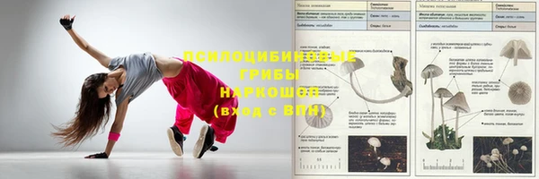 трава Алзамай