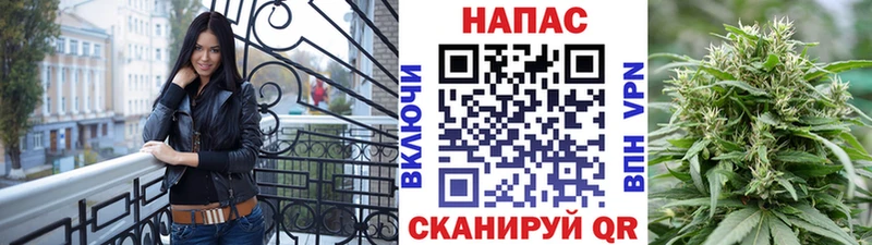 Конопля ГИДРОПОН  продажа наркотиков  blacksprut ссылка  Шимановск 